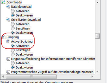 IE_Sicherheitseinstellung.jpg
